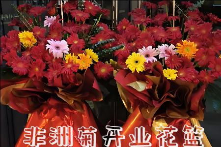 黔南州开业花篮
